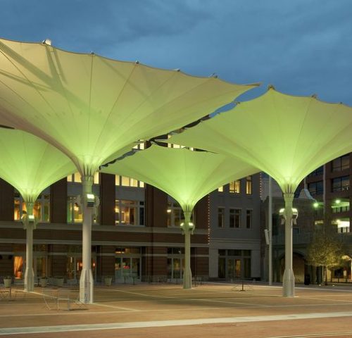 Tensile Umbrella Structure in Delhi